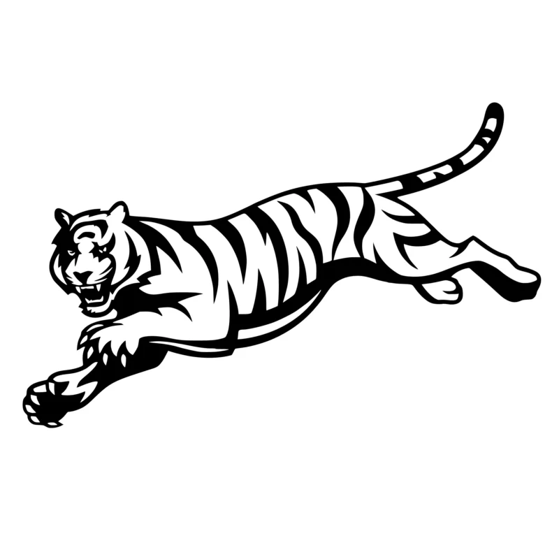 Cincinnati Bengals - Black and White Tiger - Iron On DTF Transfer - Custom Size