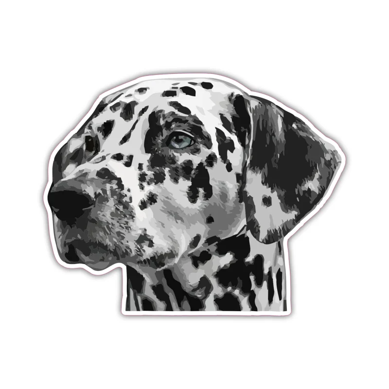 Dalmatian - Iron On DTF Transfer - Custom Size