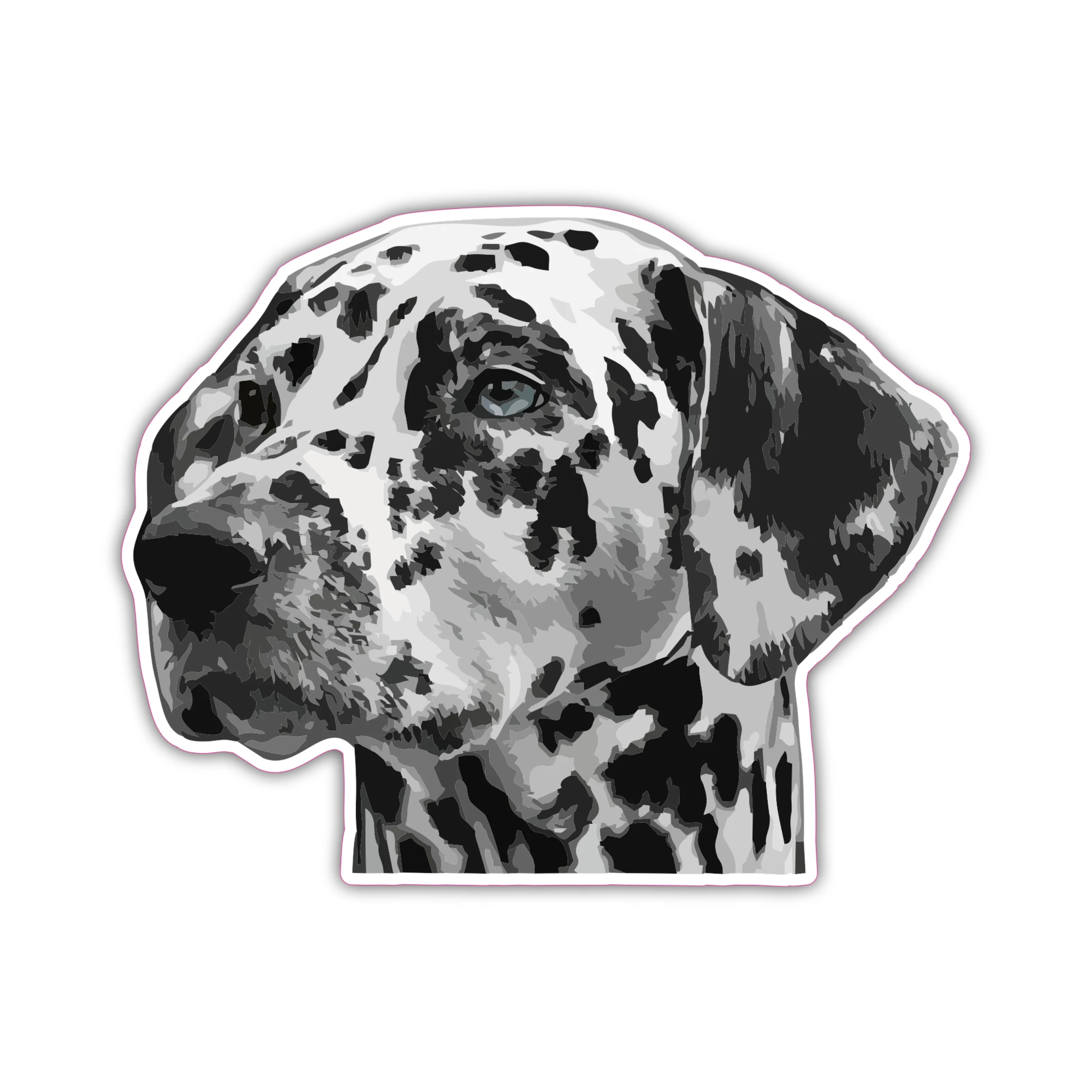 Dalmatian - Iron On DTF Transfer - Custom Size