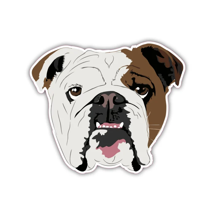 English Bulldog – Full Color Vinyl Sticker – Custom Size – Sports ...