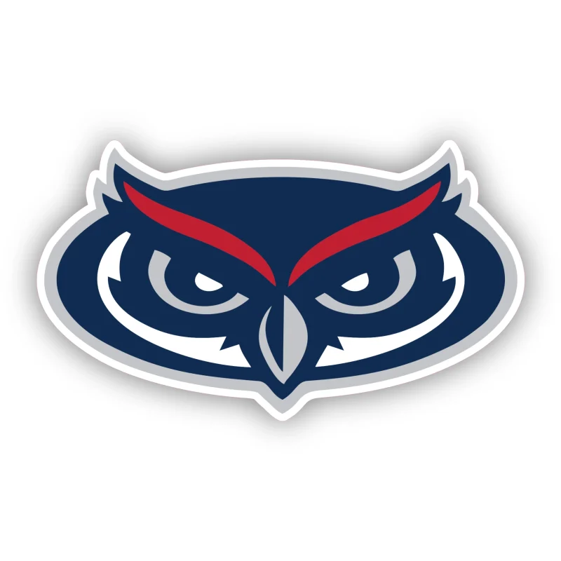 Florida Atlantic Owls - Owl Head - Iron On DTF Transfer - Custom Size