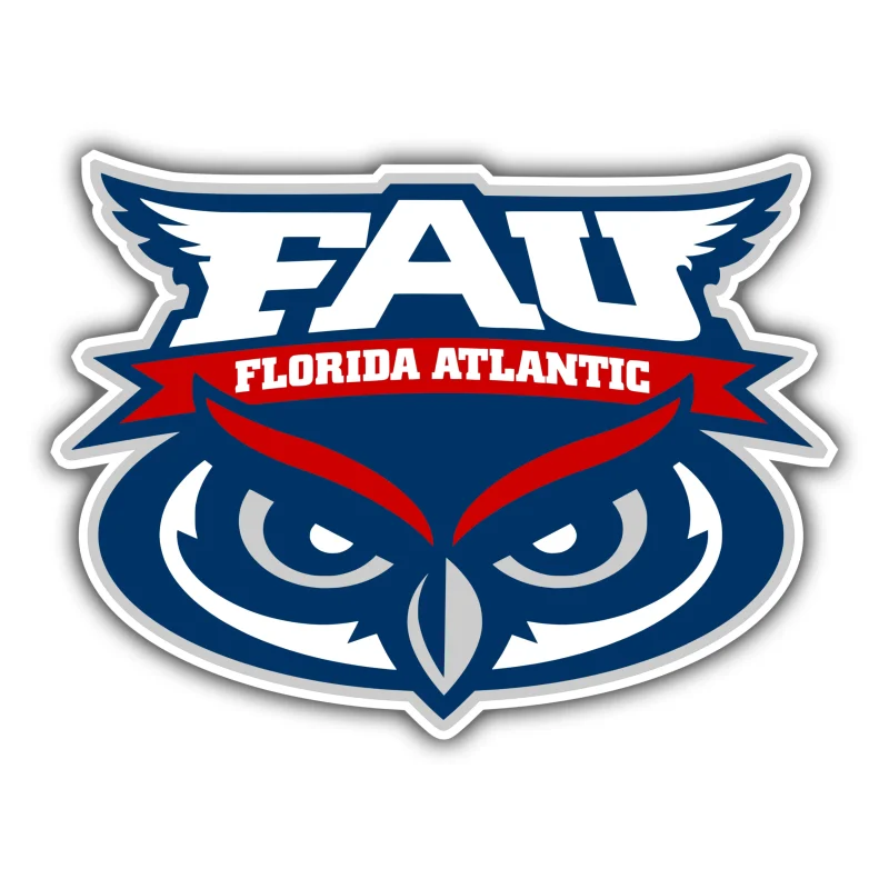 Florida Atlantic Owls - Owl Head with Name - Iron On DTF Transfer - Custom Size