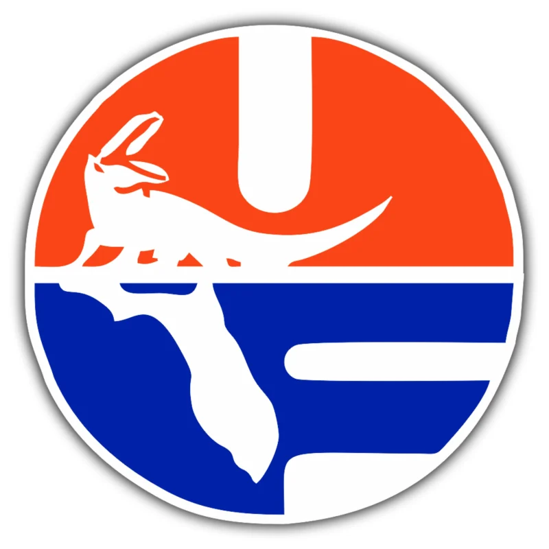 Florida Gators - Iron On DTF Transfer - Custom Size