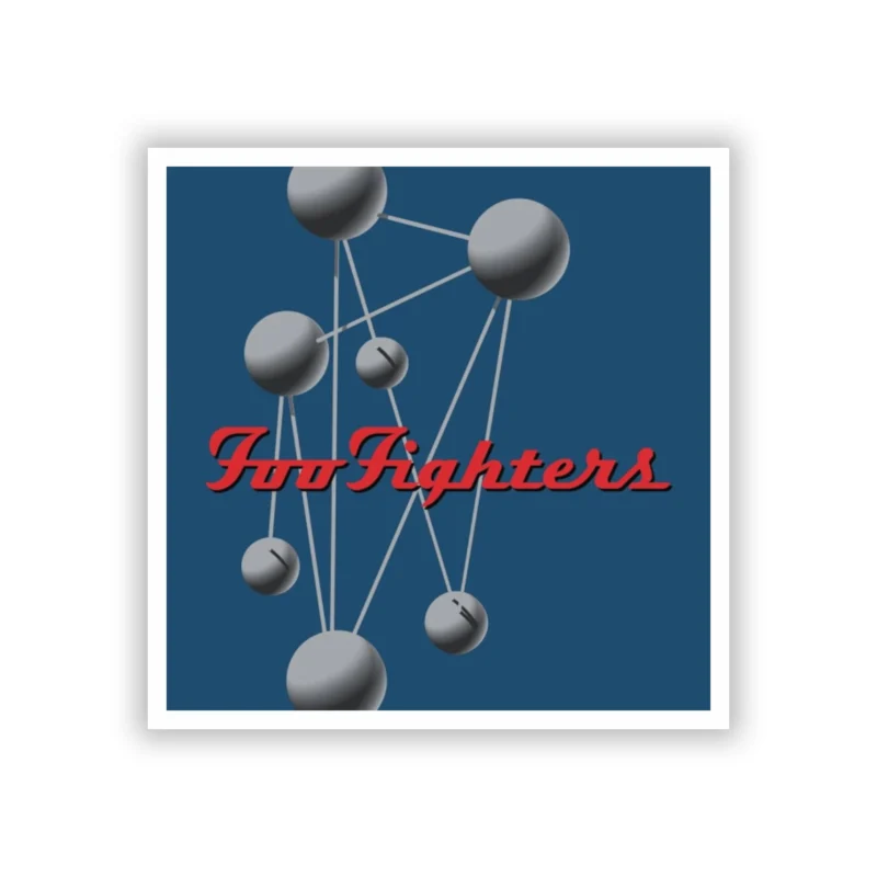 Foo Fighters - The Colour And The Shape Album Cover - Full Color Vinyl Sticker - Custom Size