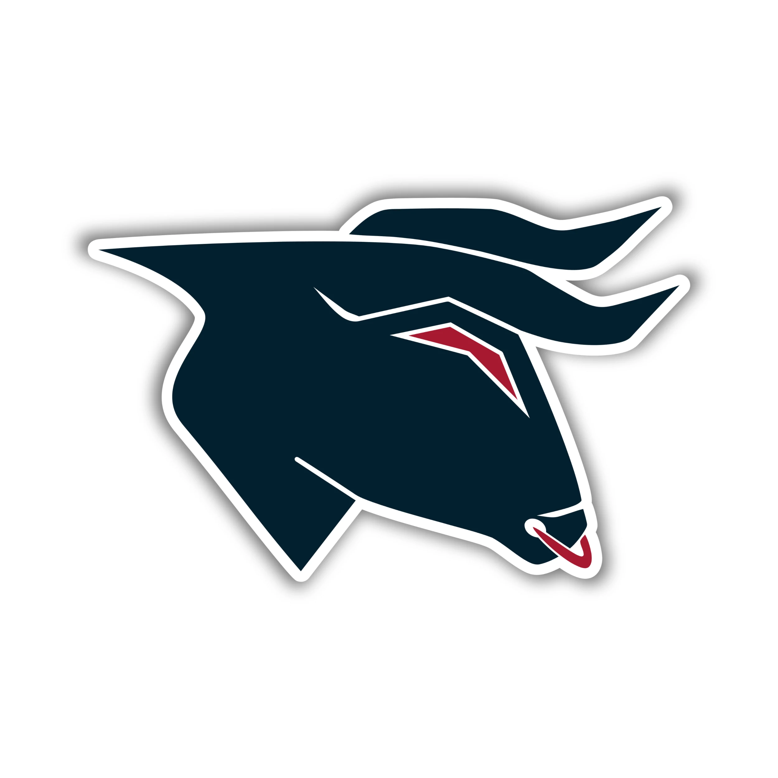 Houston Texans - Bullhead - Iron On DTF Transfer - Custom Size