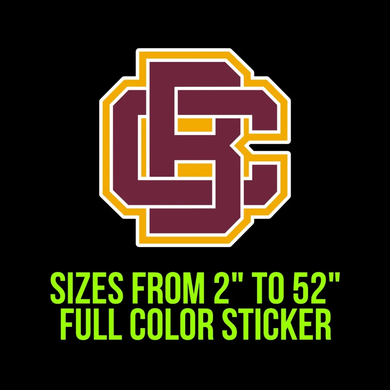 Bethune Cookman Wildcats Vinyl Decal - Custom Size