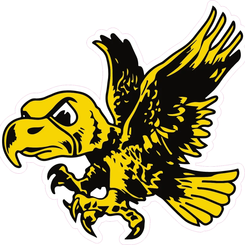 Iowa Hawkeyes - Hawk - Full Color Vinyl Decal - Custom Size