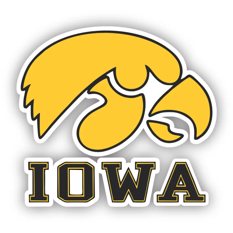 Iowa Hawkeyes - Yellow Hawk - Full Color Vinyl Decal - Custom Size