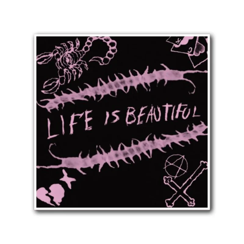 Lil Peep Album Cover Full Color Vinyl Decal - Custom Size
