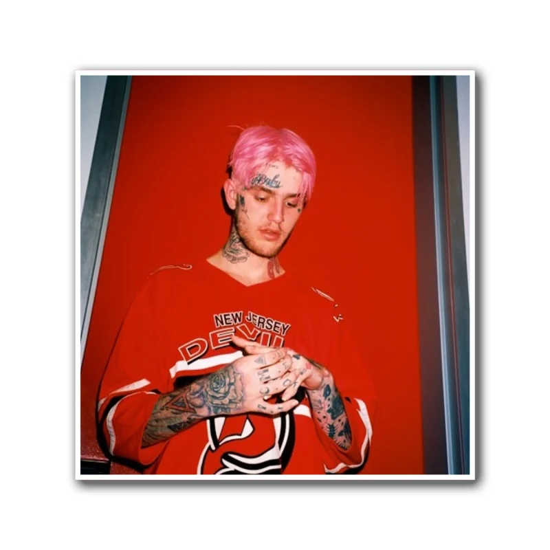 Lil Peep Album Cover Full Color Vinyl Decal - Custom Size