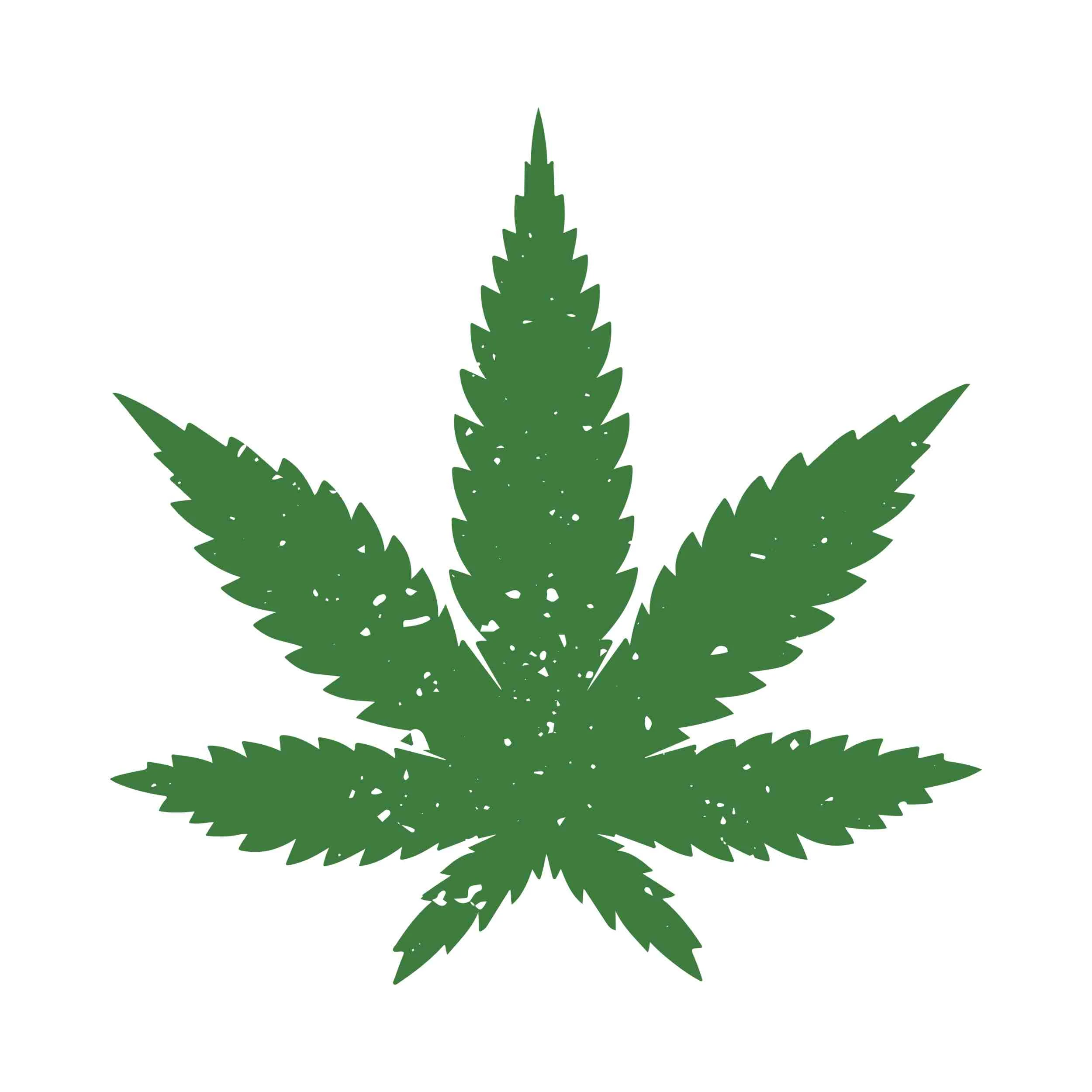 MARIJUANA LEAF - Iron On DTF Transfer - Custom Size