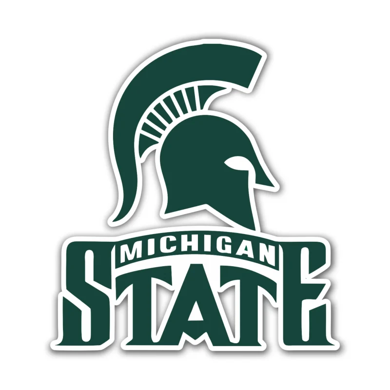 Michigan State Spartans - Helmet with Logo Name - Iron On DTF Transfer - Custom Size