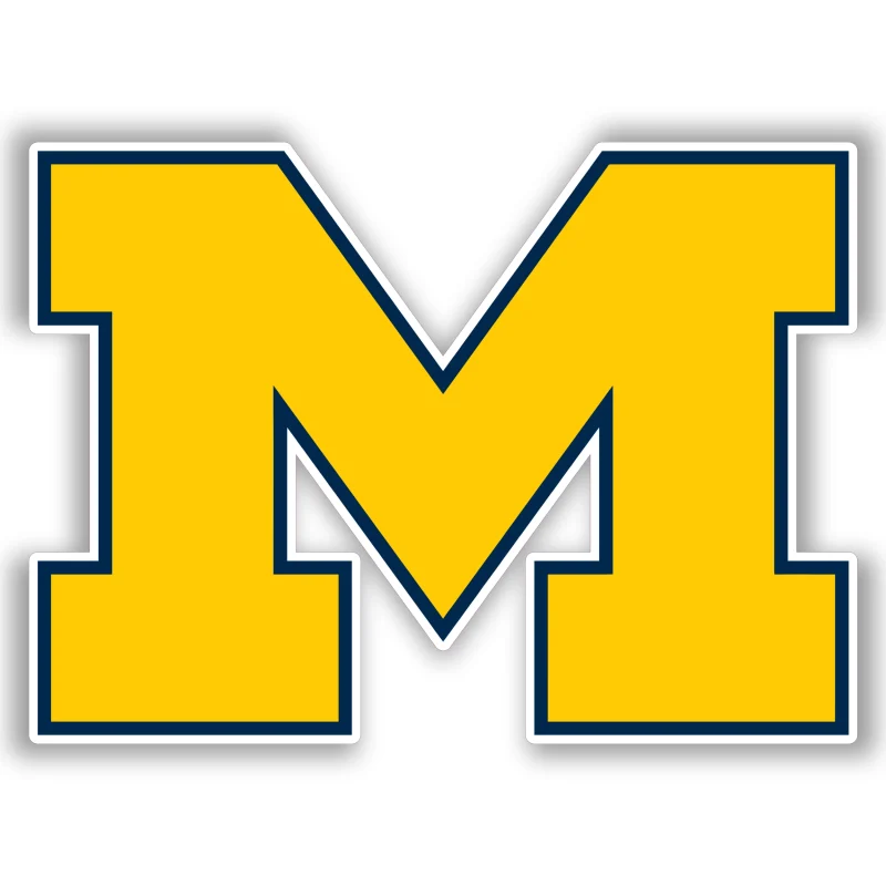 Michigan Wolverines - Yellow M - Iron On DTF Transfer - Custom Size