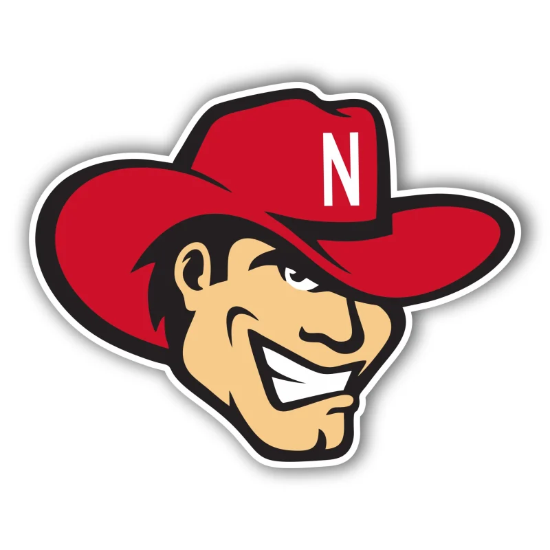 Nebraska Huskers - Iron On DTF Transfer - Custom Size