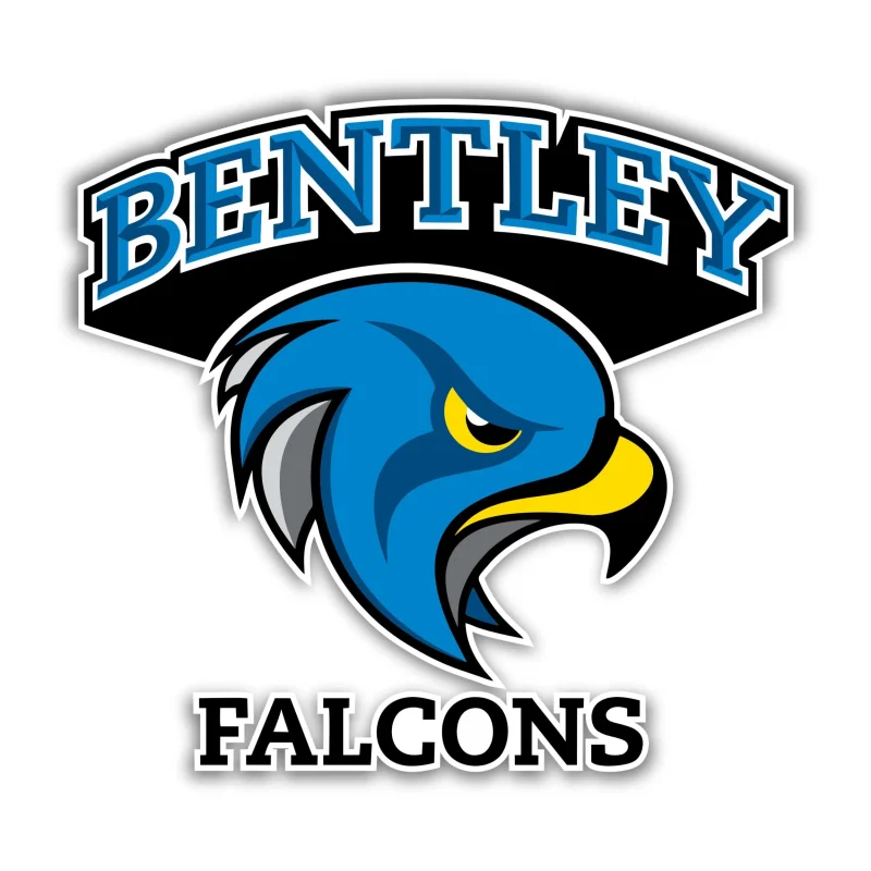 Bentley Falcons - Image 3 - Vinyl Decal - Custom Size