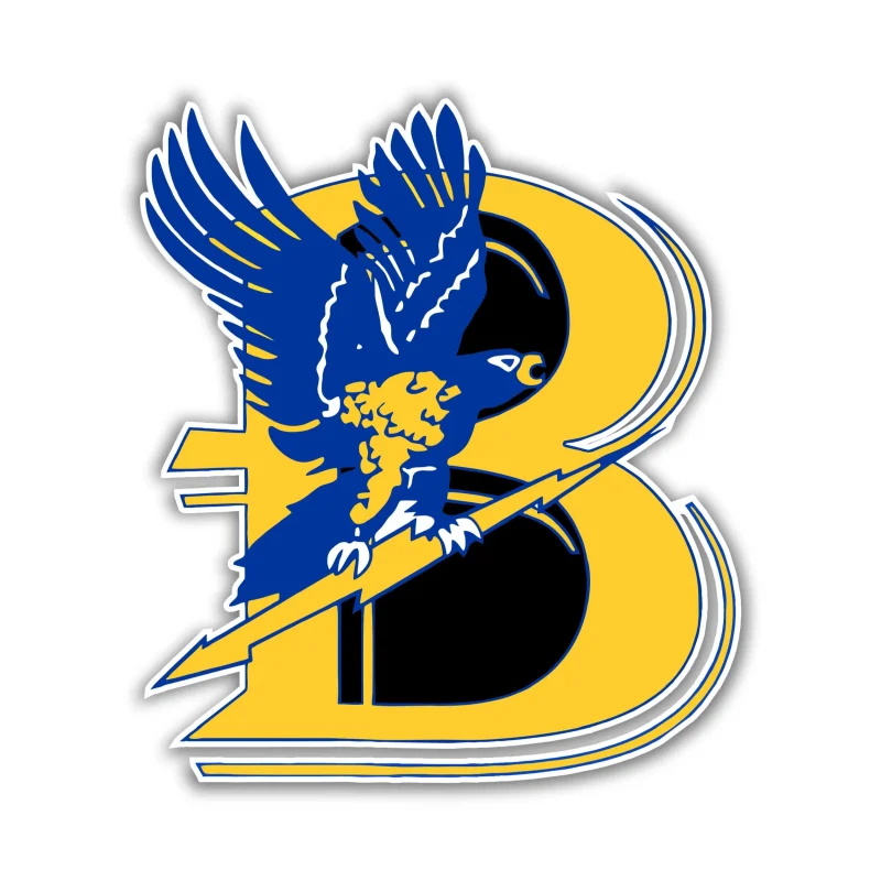 Bentley Falcons - Image 2 - Vinyl Decal - Custom Size