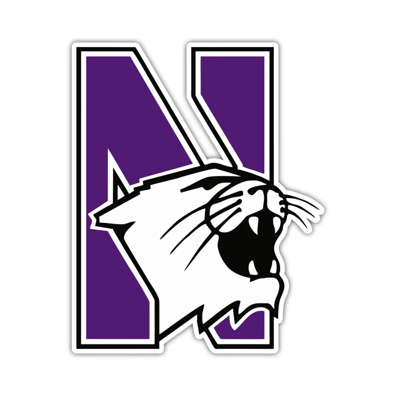 Northwestern Wildcats - N With Wildcat - Full Color Vinyl Decal - Custom Size