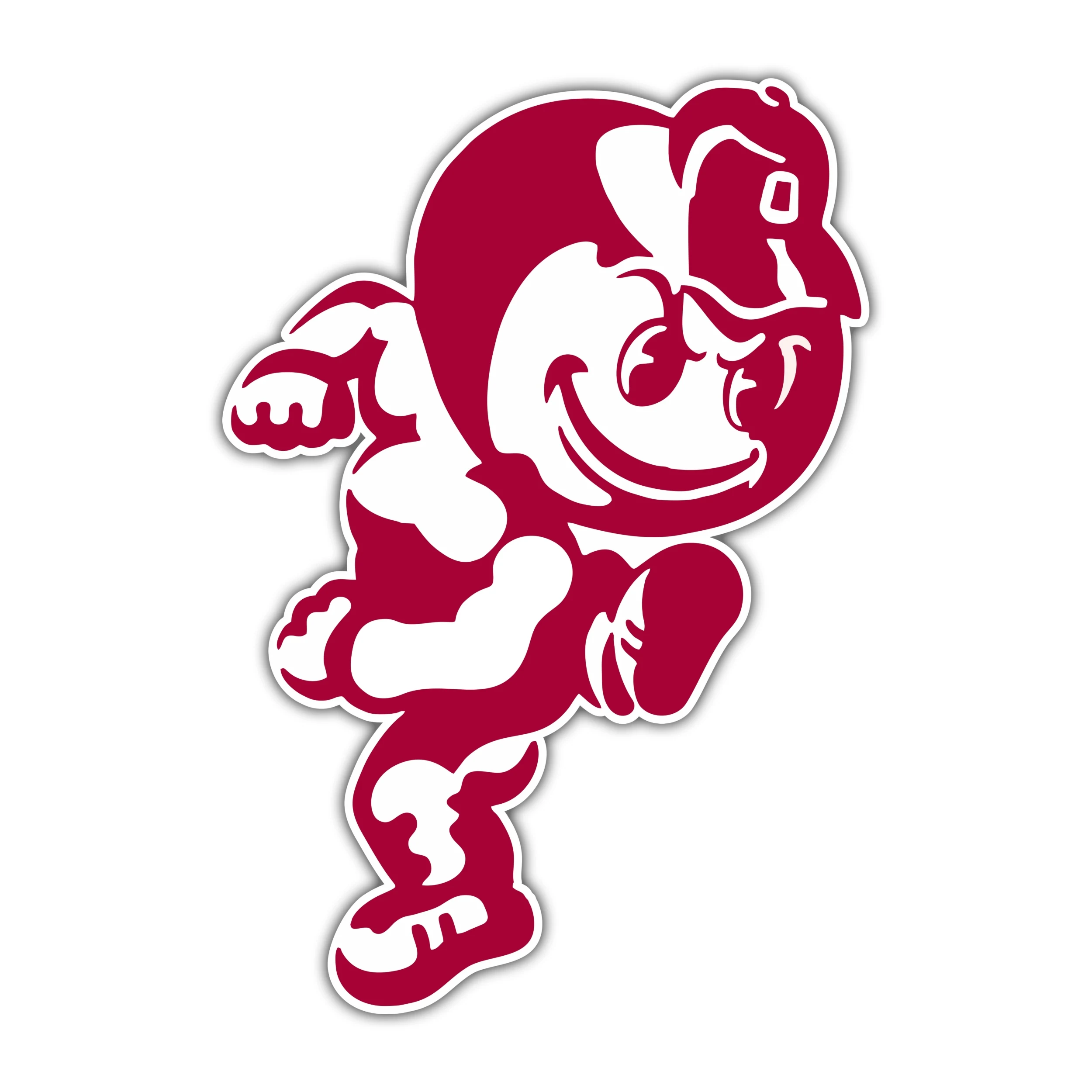 Ohio State Buckeyes Full Color Vinyl Decal - Custom Size