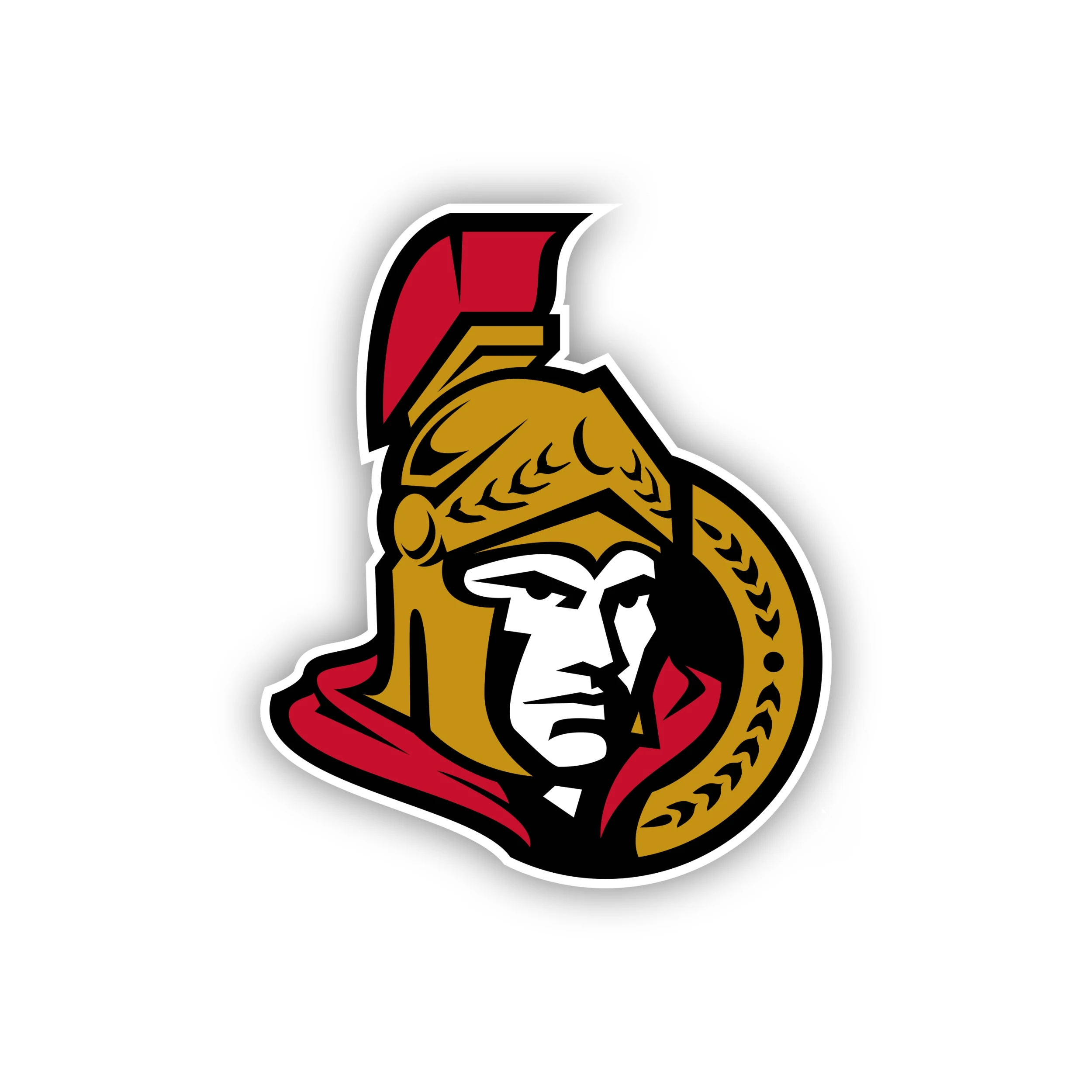 Ottawa Senators - Guy - Iron On DTF Transfer - Custom Size