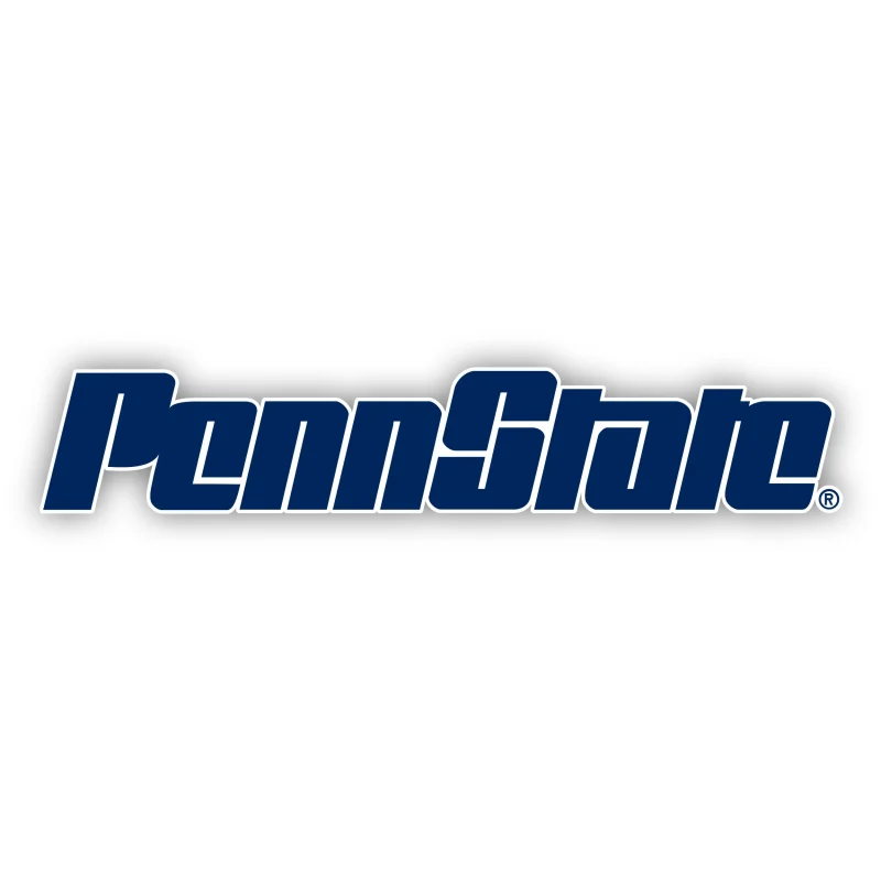 Penn State- Blue Lettering - Iron On DTF Transfer - Custom Size