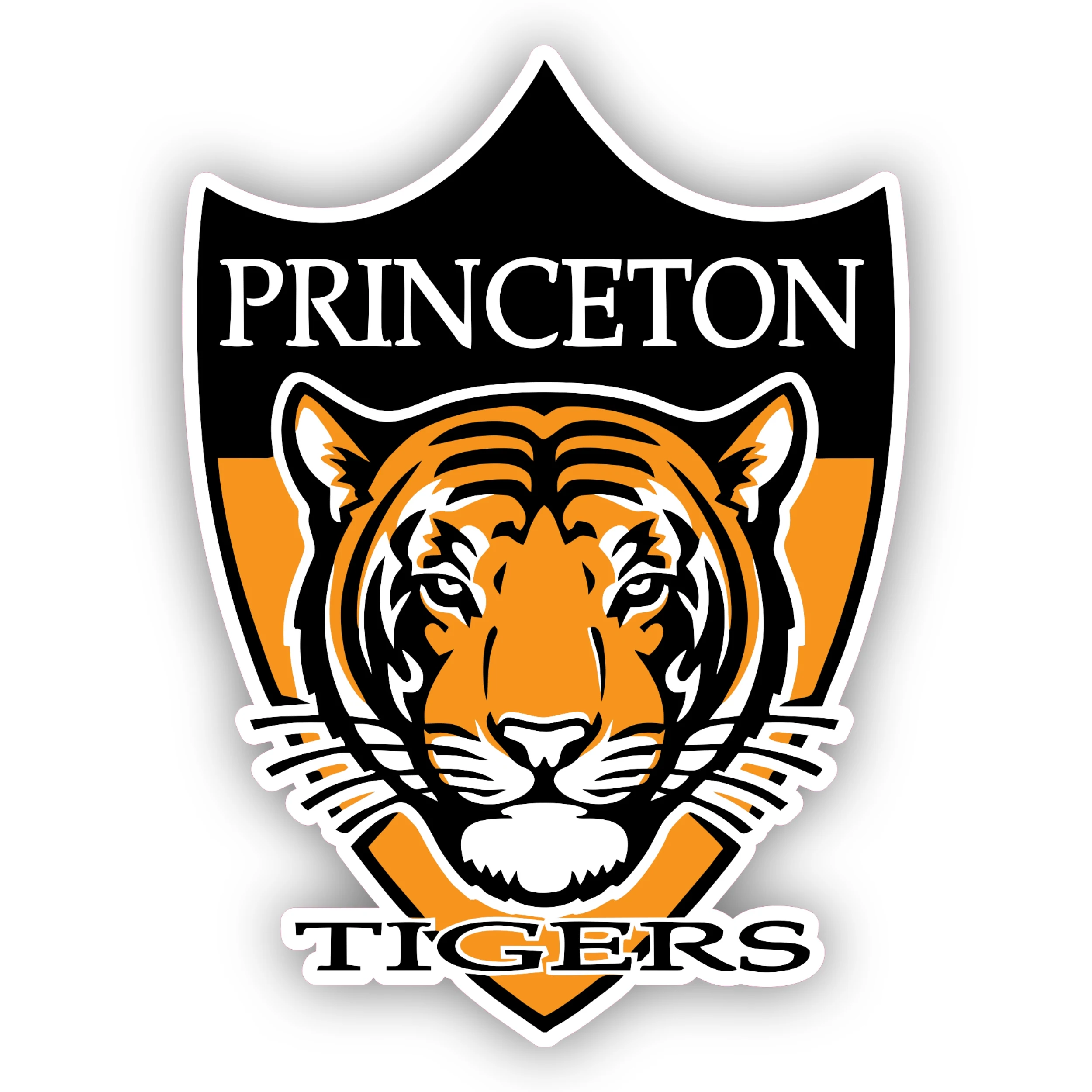 Princeton Tigers - Iron On DTF Transfer - Custom Size
