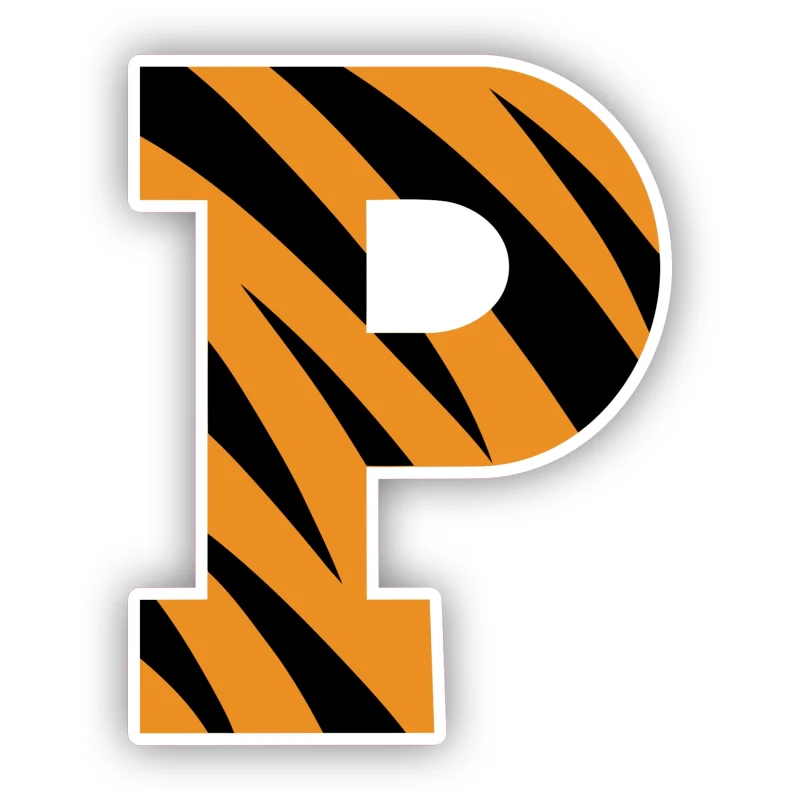 Princeton Tigers - Tiger Print P - Full Color Vinyl Decal - Custom Size