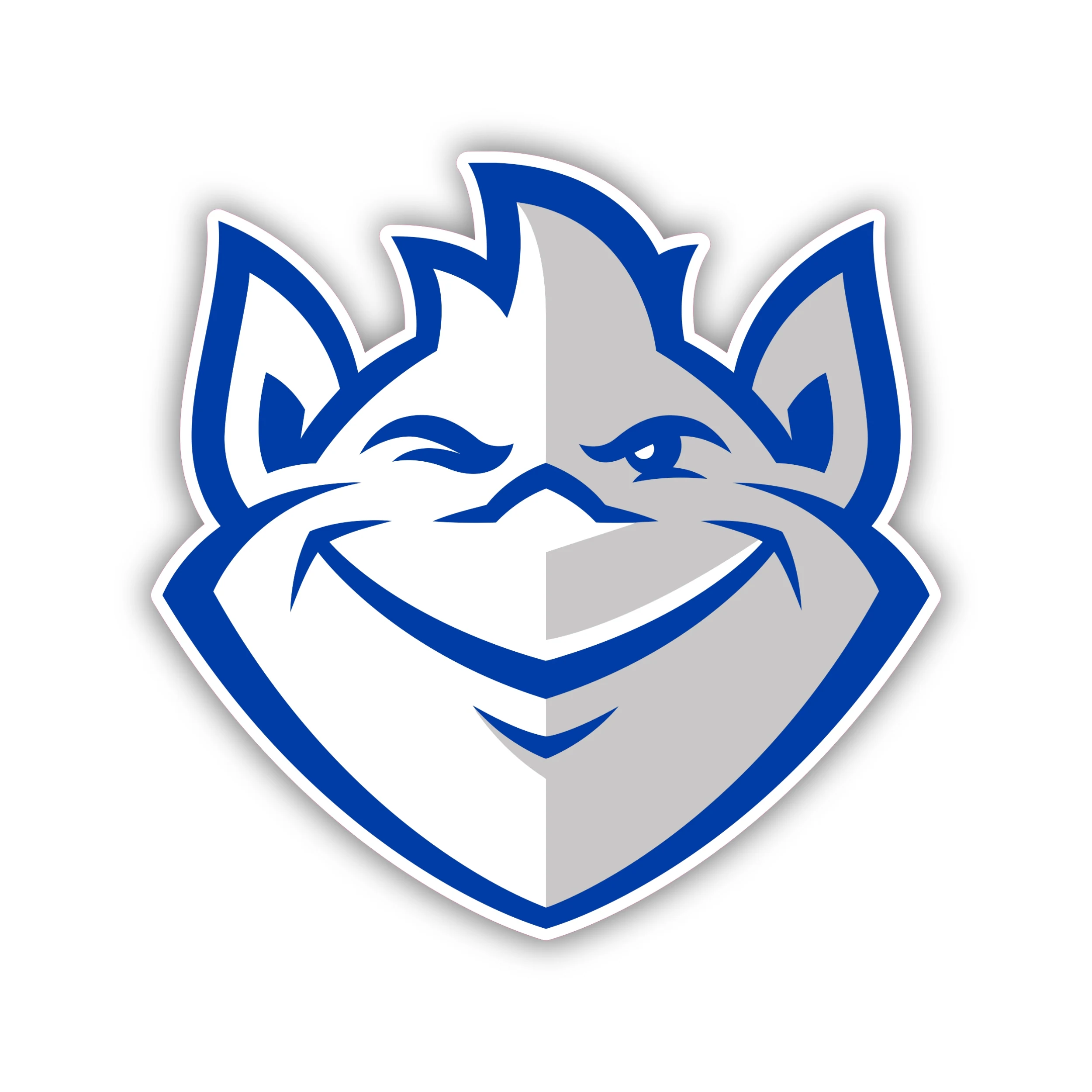 Saint Louis Billikens - Iron On DTF Transfer - Custom Size