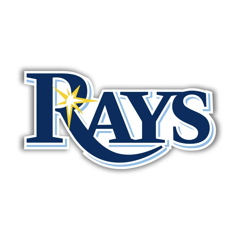 Tampa Bay Rays - Rays - Iron On DTF Transfer - Custom Size
