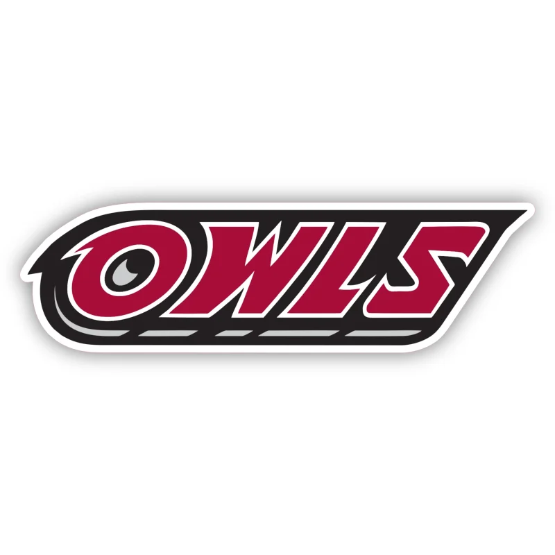 Temple University - Iron On DTF Transfer - Custom Size