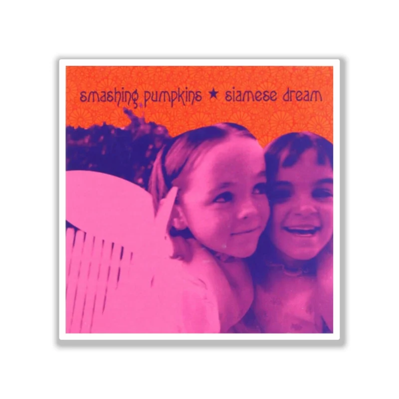 The Smashing Pumpkins - Siamese Dream 2 - Full Color Vinyl Sticker - Custom Size