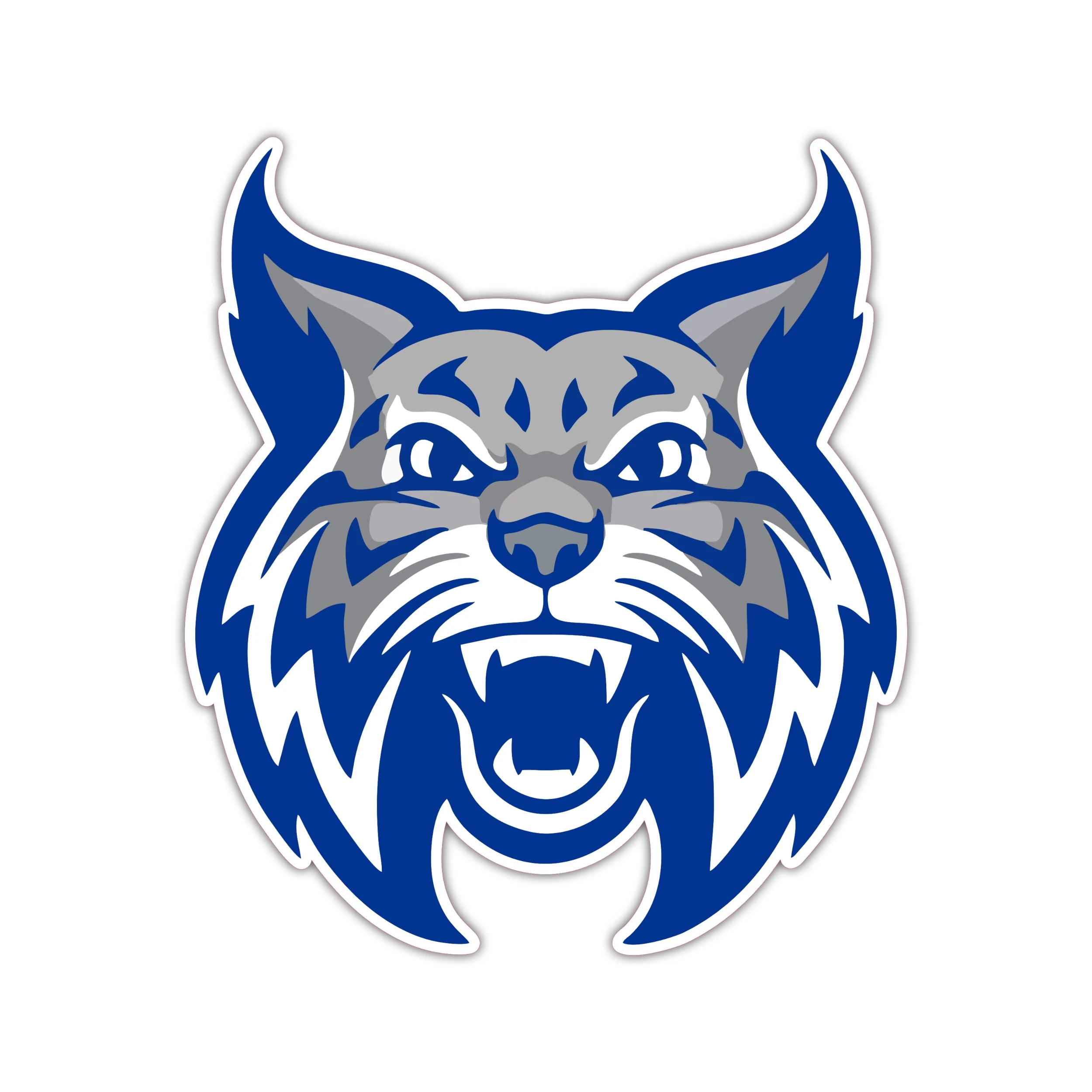 Welch Wildcats - Iron On DTF Transfer - Custom Size