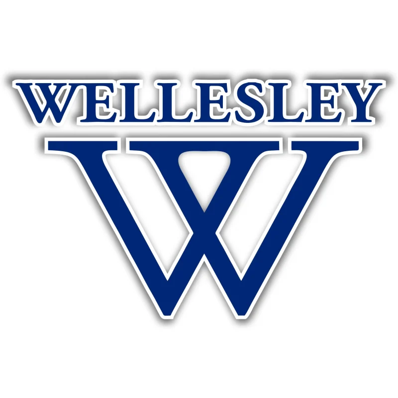 WELLESLEY - Full Color Vinyl Sticker - Custom Size