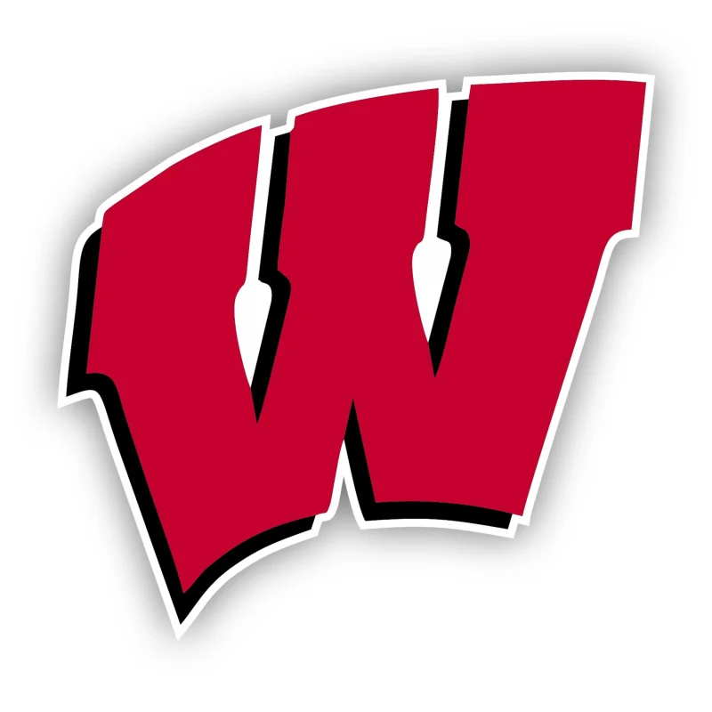 Wisconsin Badgers - W - Iron On DTF Transfer - Custom Size