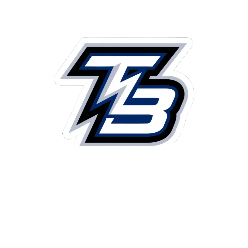 Tampa Bay Lightning - TB - Full Color Vinyl Sticker - Custom Size