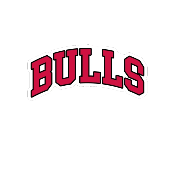 Chicago Bulls – Bulls – Full Color Vinyl Sticker – Custom Size – Sports ...