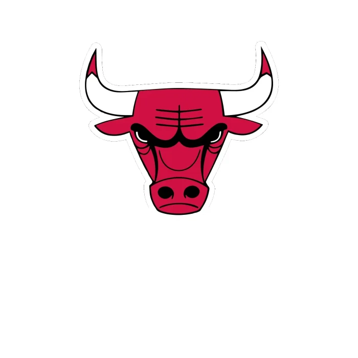 Chicago Bulls – Bull Head – Full Color Vinyl Sticker – Custom Size ...