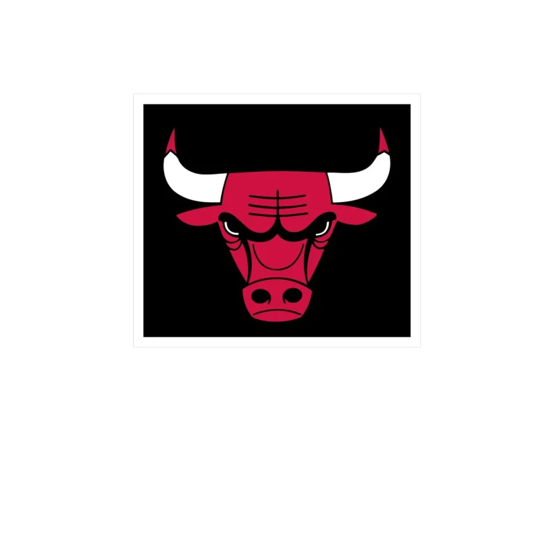 Chicago Bulls - Black Square With Bull Head - Full Color Vinyl Sticker - Custom Size