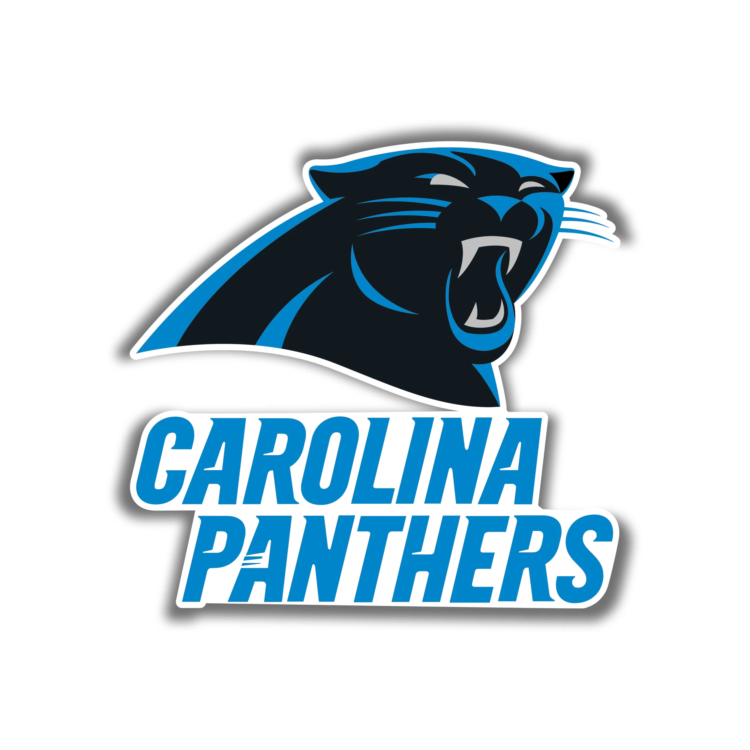 Carolina Panthers Full Color Vinyl Decal - Panther's Head with Wording - Custom Size
