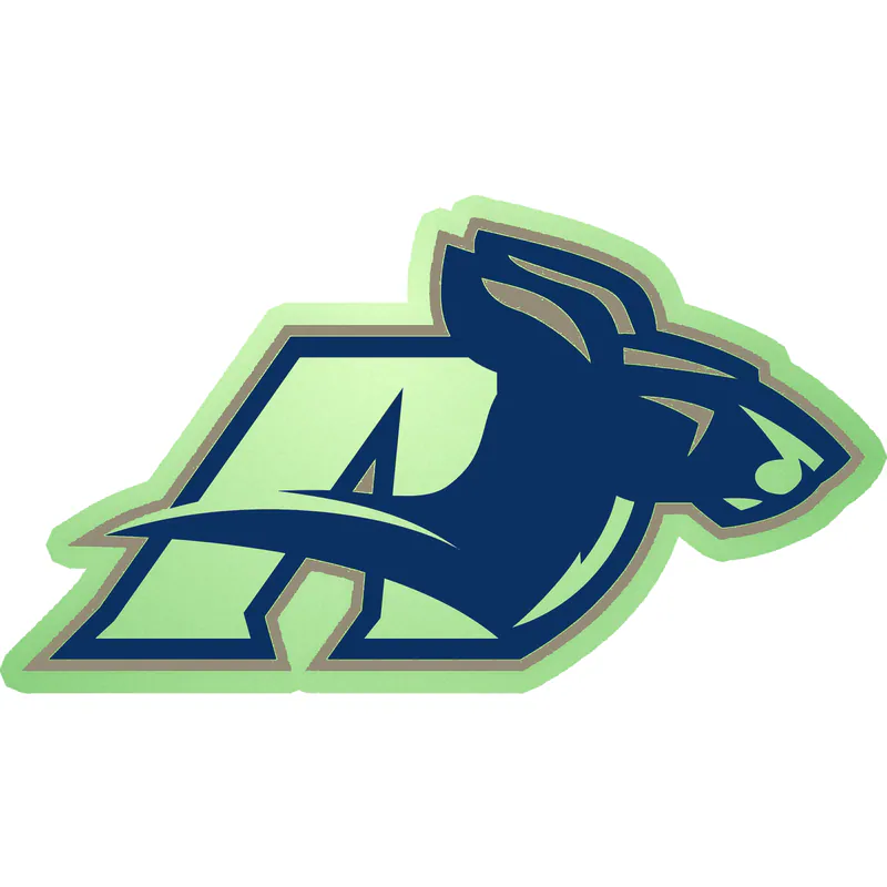 Akron Zips - Image 1 - Glow in the Dark Vinyl Decal - Custom Size
