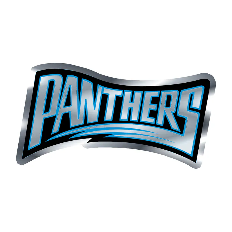 Carolina Panthers Silver Chrome Vinyl Decal - Wording - Custom Size