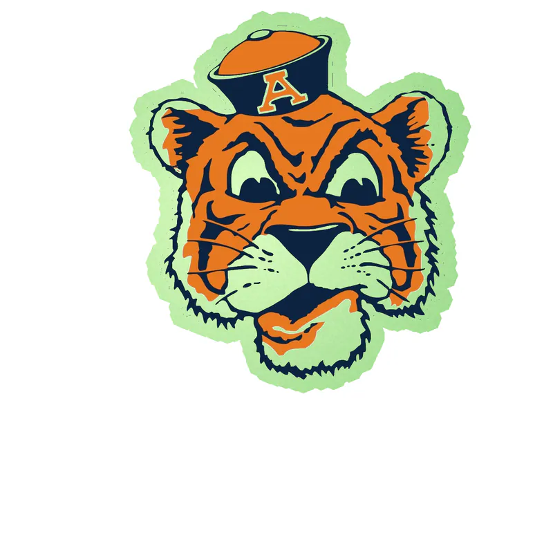 Auburn Tigers - Image 7 - Glow in the Dark Vinyl Decal - Custom Size