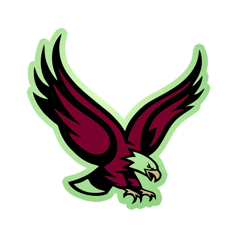 Boston College Eagles - Image 1 - Glow in the Dark Vinyl Decal - Custom Size