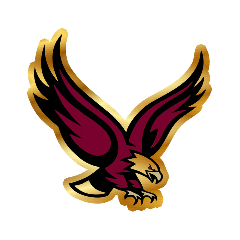 Boston College Eagles - Image 1 - Gold Chrome Vinyl Decal - Custom Size