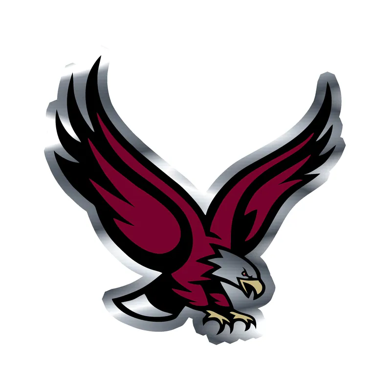 Boston College Eagles - Image 1 - Silver Chrome Vinyl Decal - Custom Size