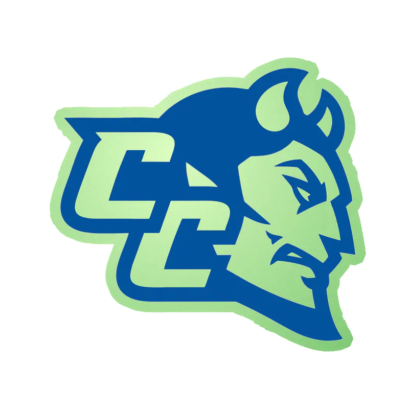 Central Connecticut Bluedevils - Image 1 - Glow in the Dark Vinyl Decal - Custom Size