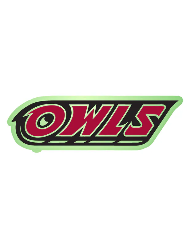 Temple University - Image 2 - Glow in the Dark Vinyl Decal - Custom Size