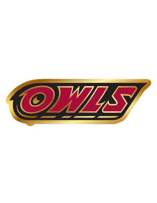 Temple University - Image 2 - Gold Chrome Vinyl Decal - Custom Size