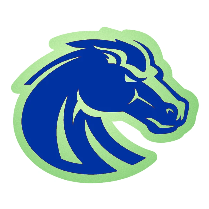 Boise State Broncos - Image 4 - Glow in the Dark Vinyl Decal - Custom Size