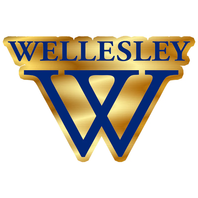 WELLESLEY - Gold Chrome Vinyl Sticker - Custom Size