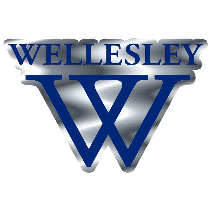 WELLESLEY - Silver Chrome Vinyl Sticker - Custom Size